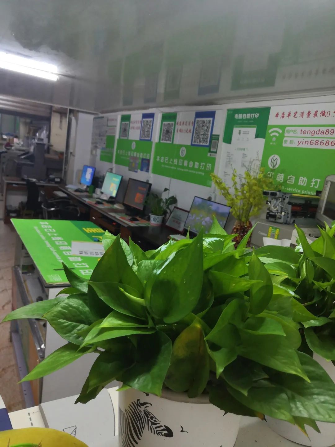 第一张.jpg